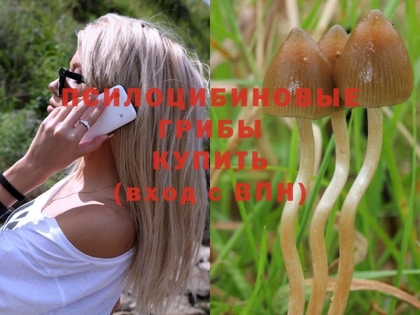 прущая мука Горнозаводск