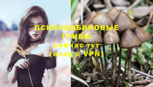 кокаин премиум Горно-Алтайск