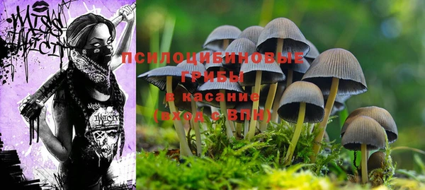 прущая мука Горнозаводск