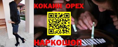 стафф Кингисепп