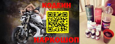 стафф Кингисепп
