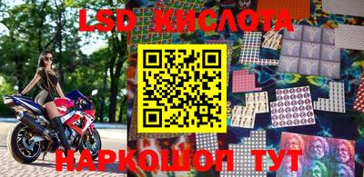 стафф Кингисепп