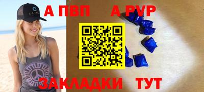 стафф Кингисепп