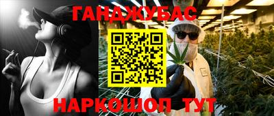 стафф Кингисепп