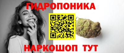 индика Кимры