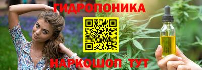 стафф Кингисепп
