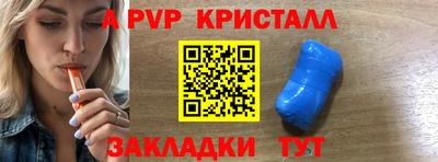 стафф Кингисепп