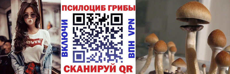 Псилоцибиновые грибы MAGIC MUSHROOMS  купить  цена  Мончегорск 