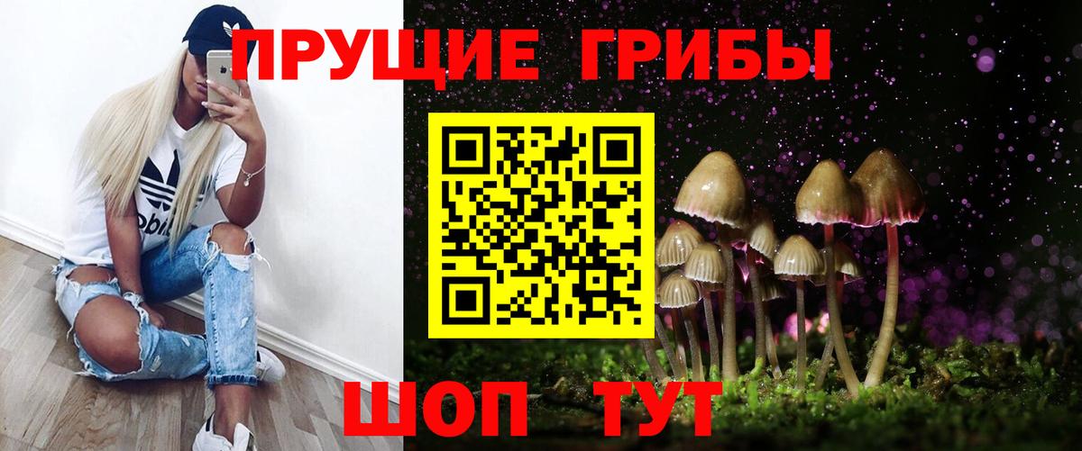 хочу   Псилоцибиновые грибы мицелий  Вход с VPN  Мончегорск 
